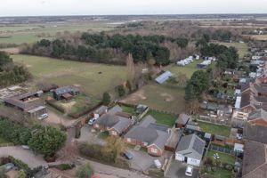 THE CONIFERS- click for photo gallery